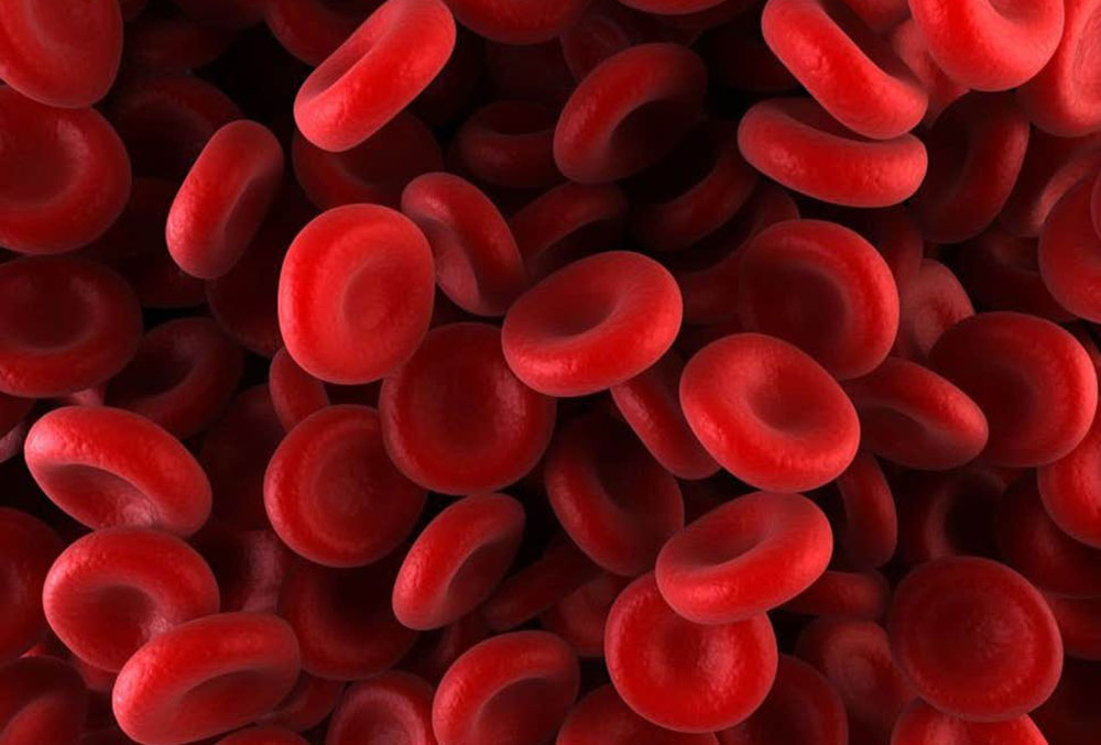 hematology